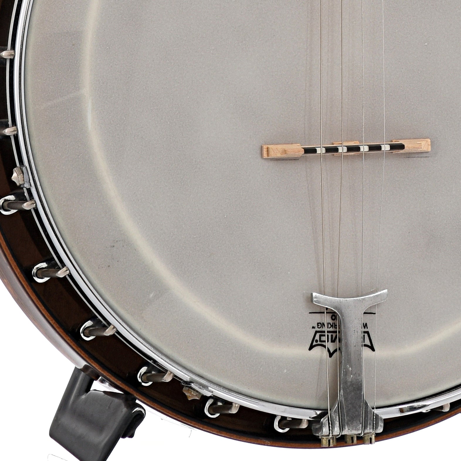 Bridge of Van Eps Tenor Banjo