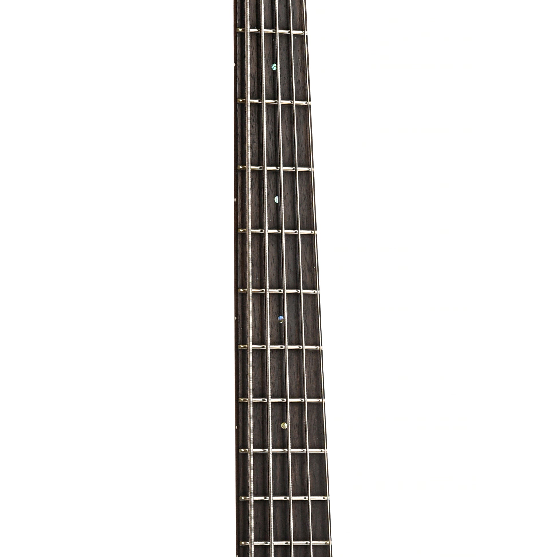 ESP LTD AP-5 5-String Bass, Pelham Blue – Elderly Instruments