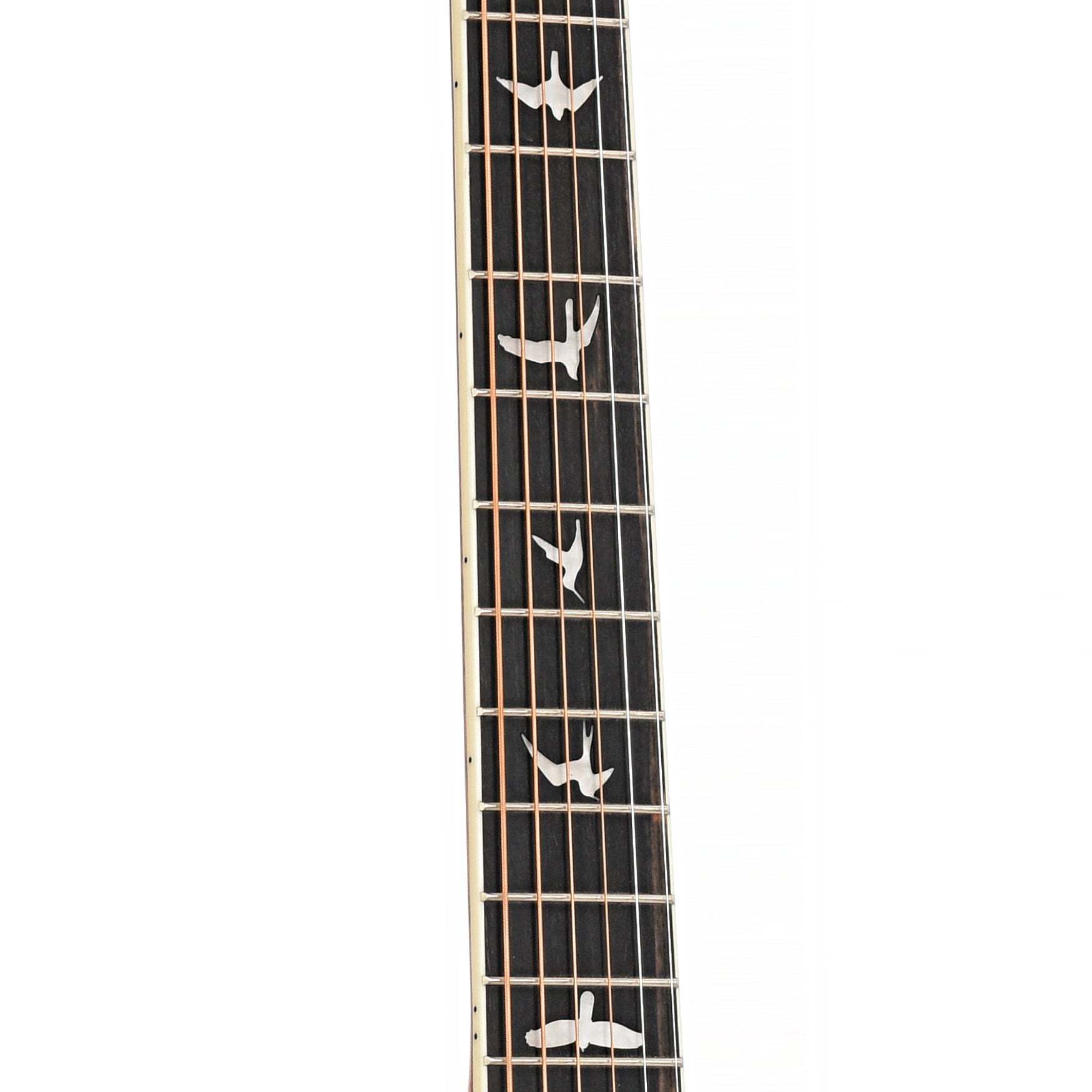 Fretboard of PRS SE P20E Parlor Acoustic / Electric