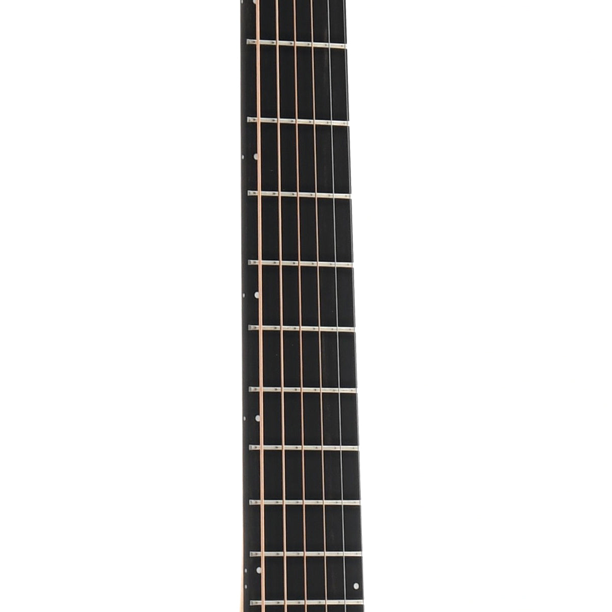 fretboard of Breedlove Oregon Series Concert CE Myrtlewood