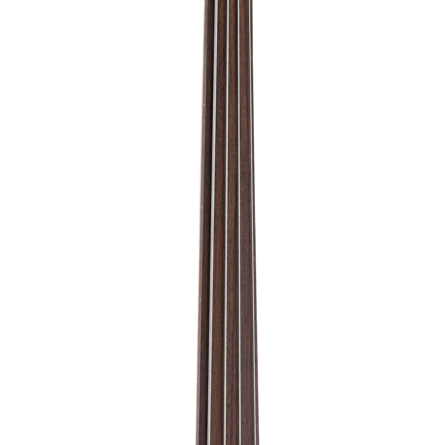 Fretboard of Parts Fretless Bass