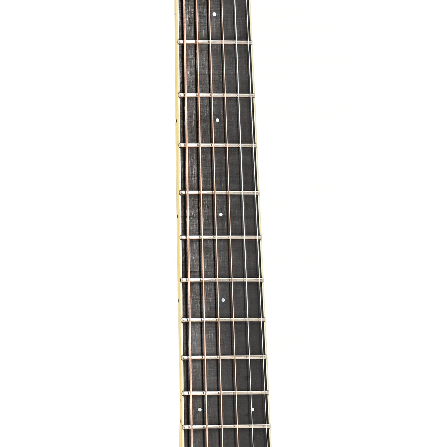 Fretboard of Santa Cruz D Rosewood