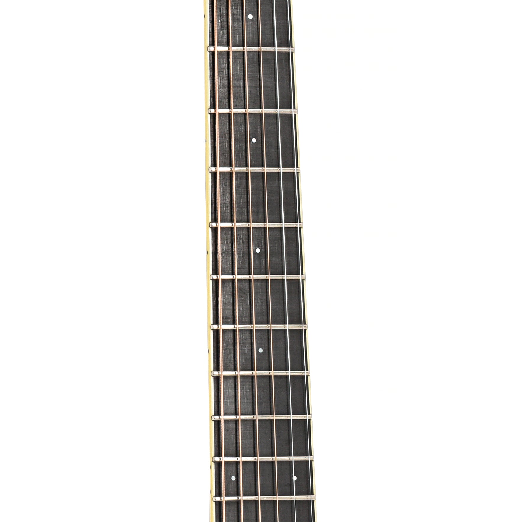 Fretboard of Santa Cruz D Rosewood