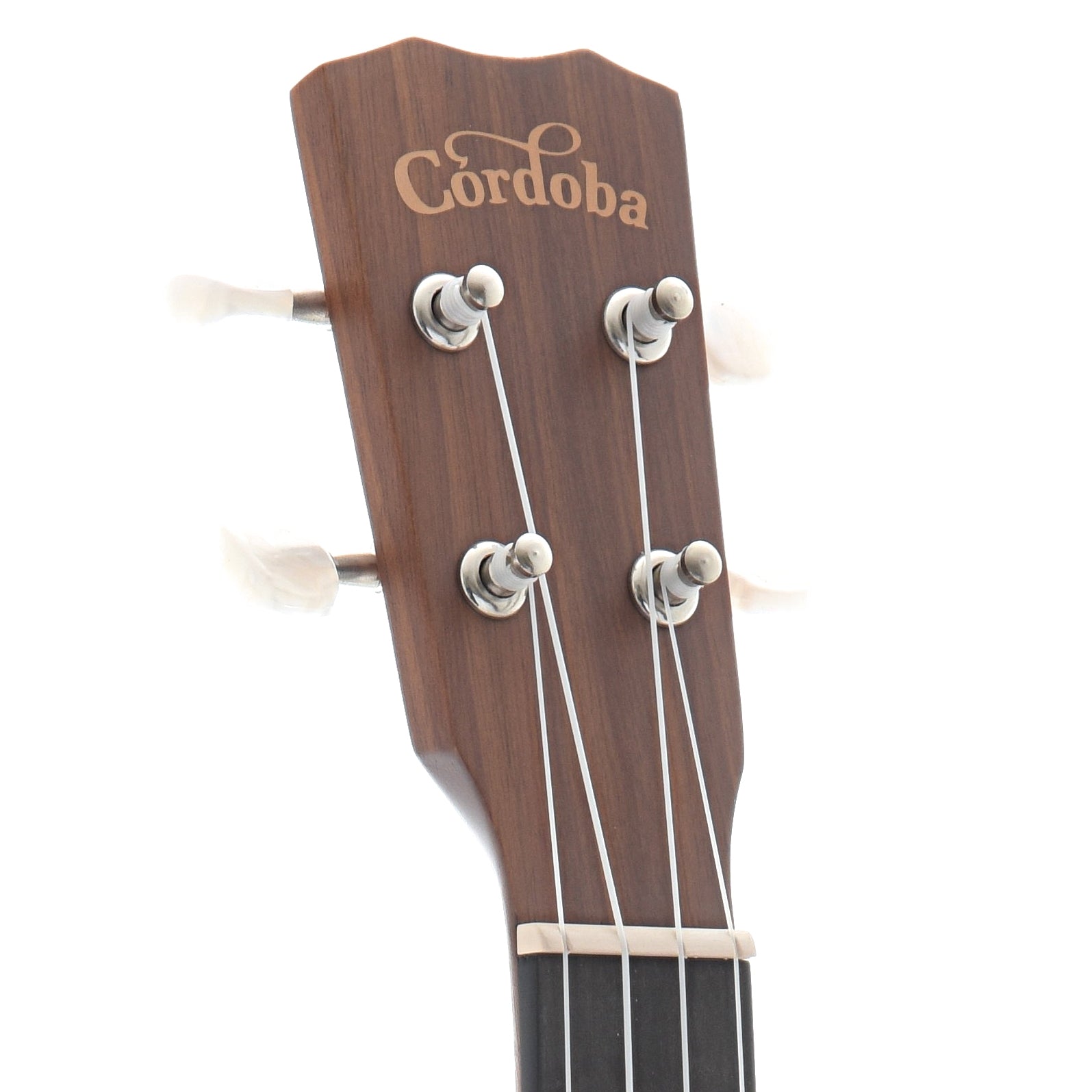 Front headstock of Cordoba Concert Ukulele 