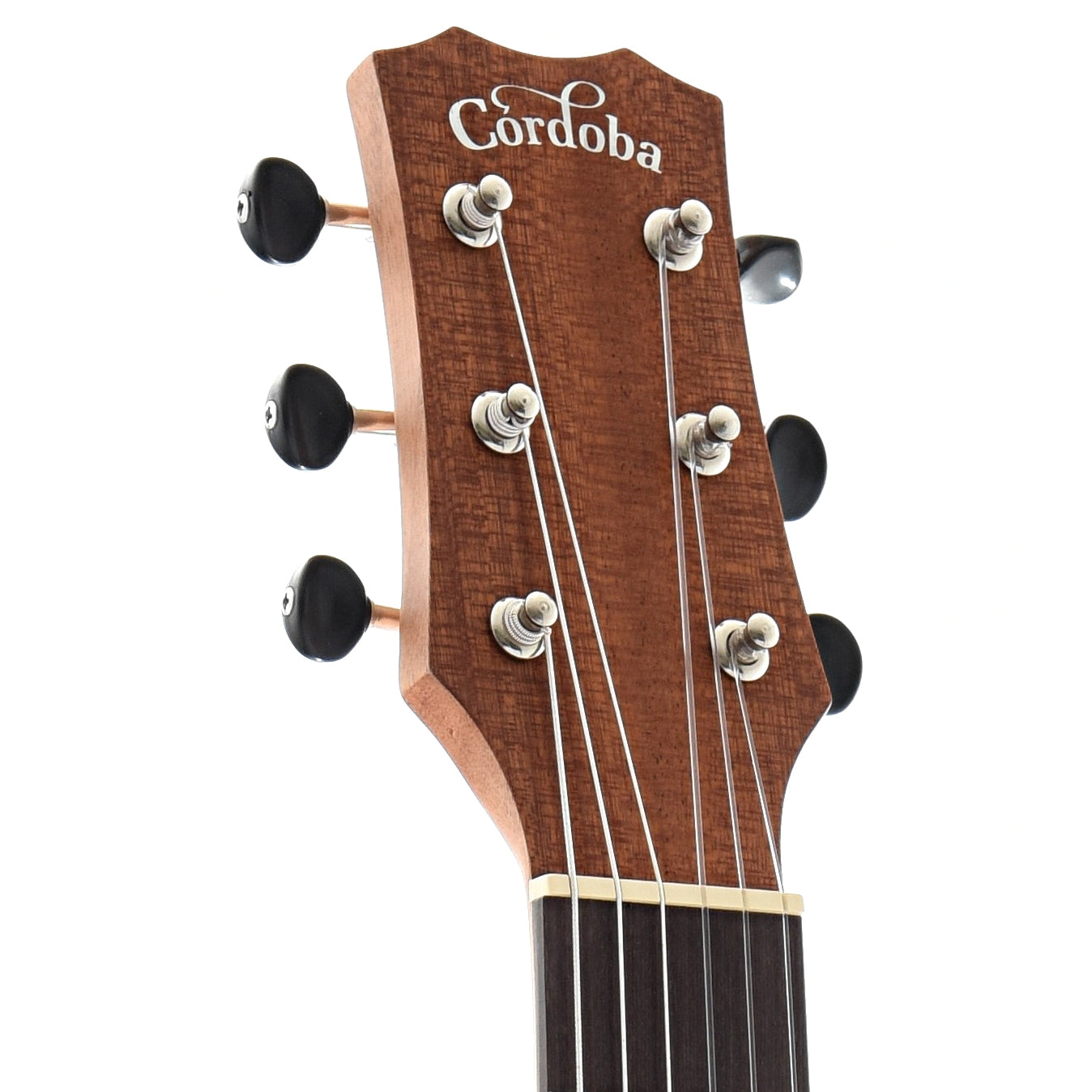 Front Headstock of Cordoba Mini II MH Travel-Sized Guitar