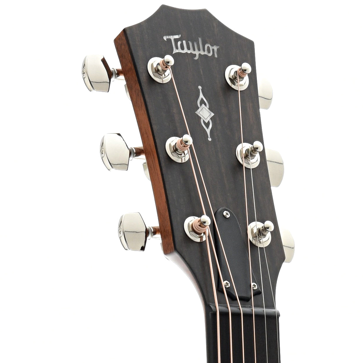 Taylor 314ce Acoustic Guitar & Case – Elderly Instruments