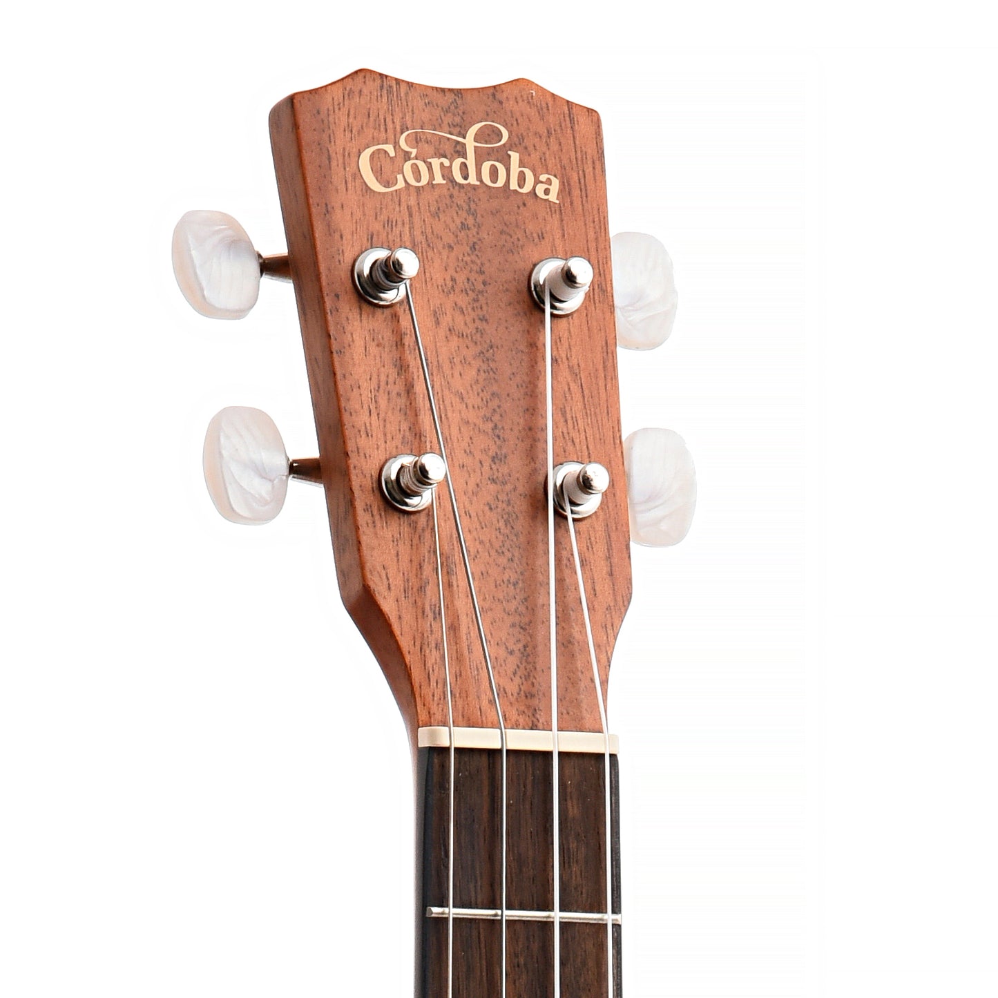 Front Headstock of Cordoba 20BM Baritone Ukulele, Mahogany