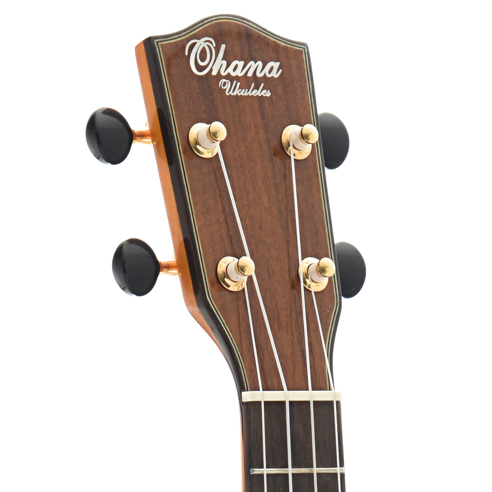 Image 6 of Ohana CK-260G Concert Ukulele - SKU# CK260G : Product Type Concert Ukuleles : Elderly Instruments