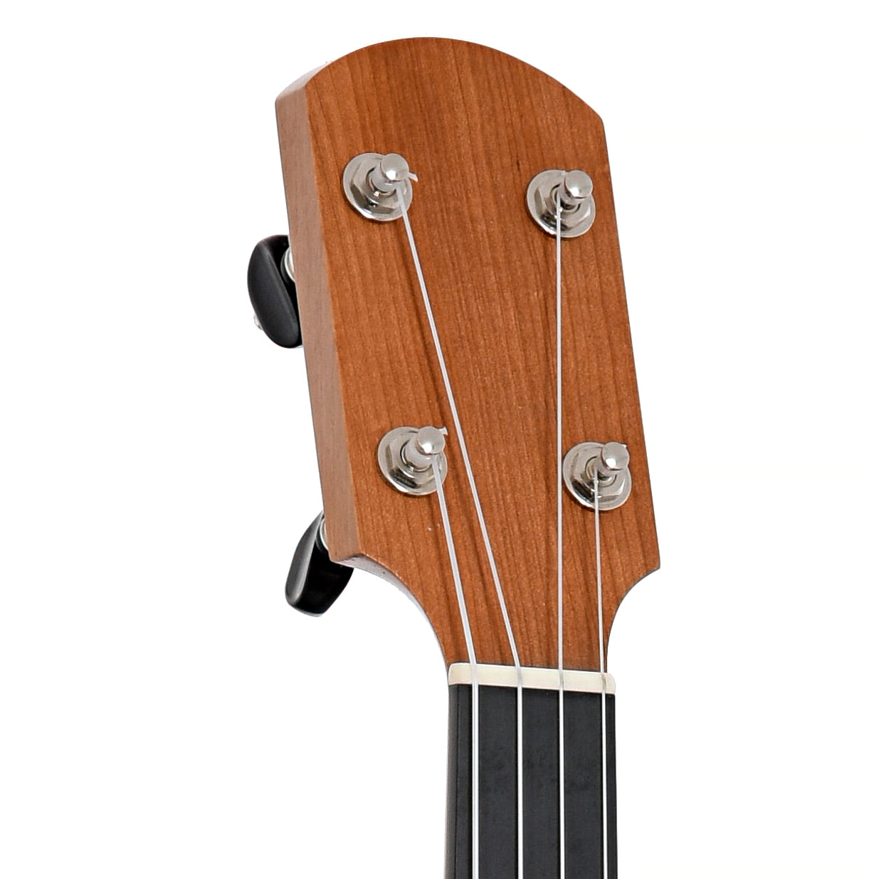 Kevin Enoch Fretless 12