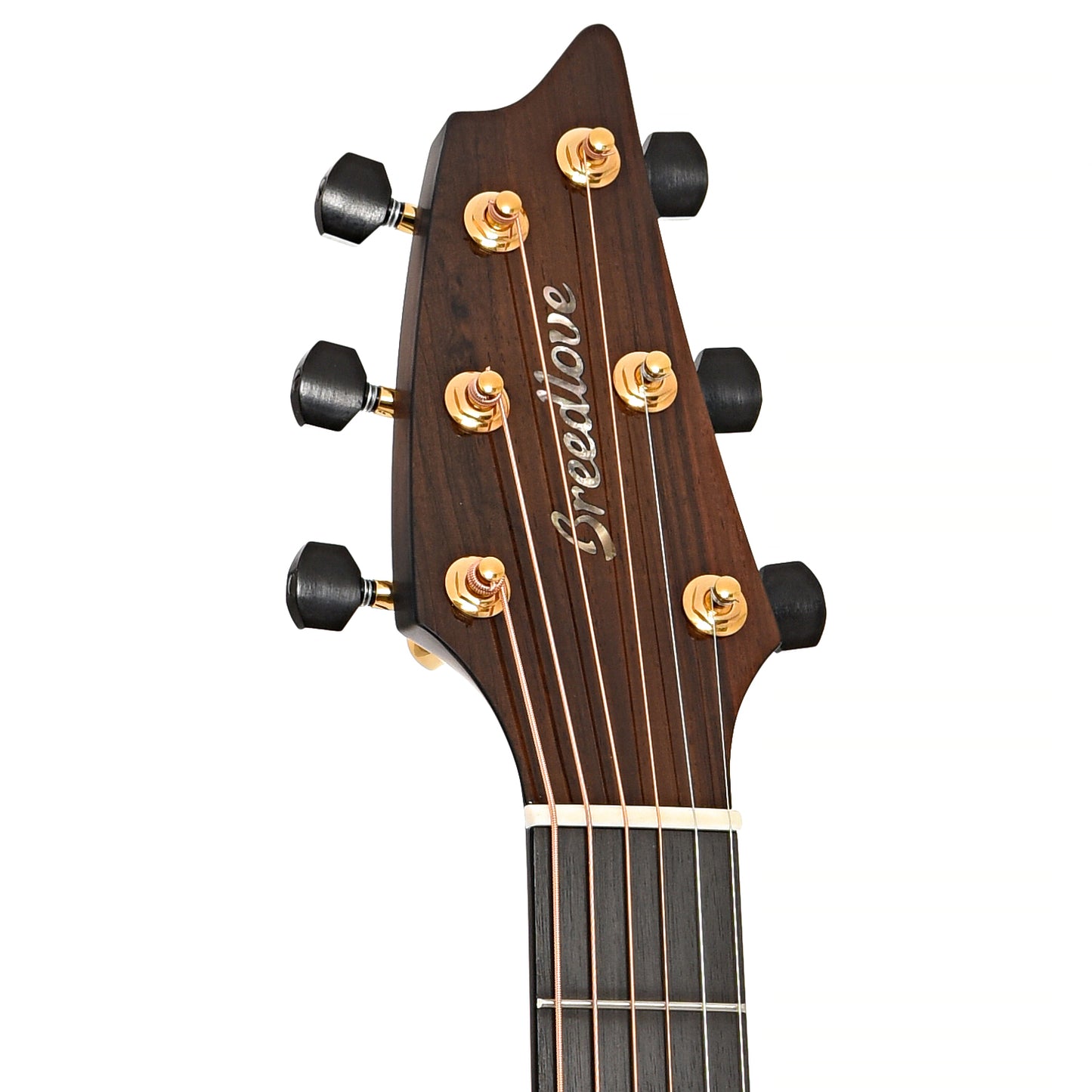 Front headstock of Breedlove Premier Concert Edgeburst CE Red Cedar-Brazilian LTD