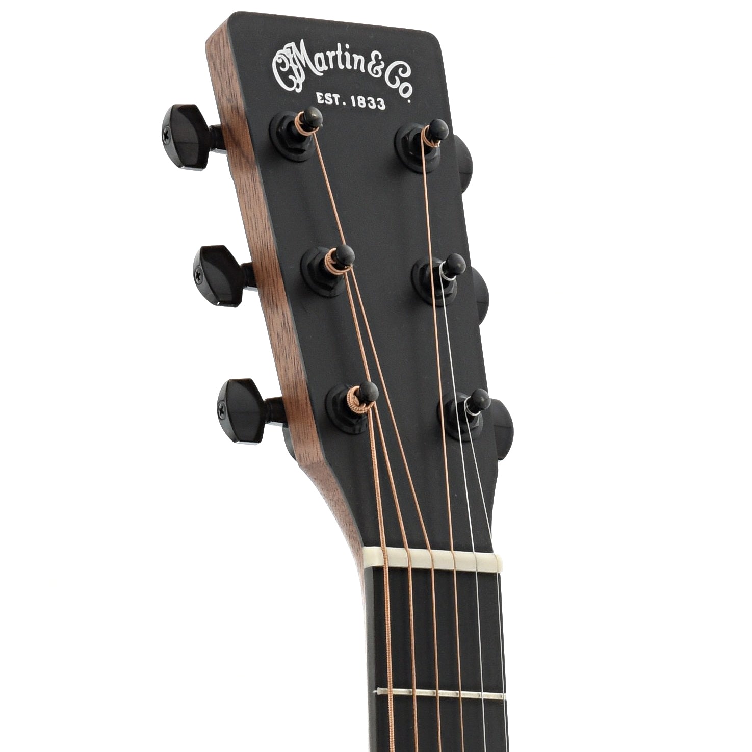 Martin u0026 Co EST.1833 アコースティックギター - ギター