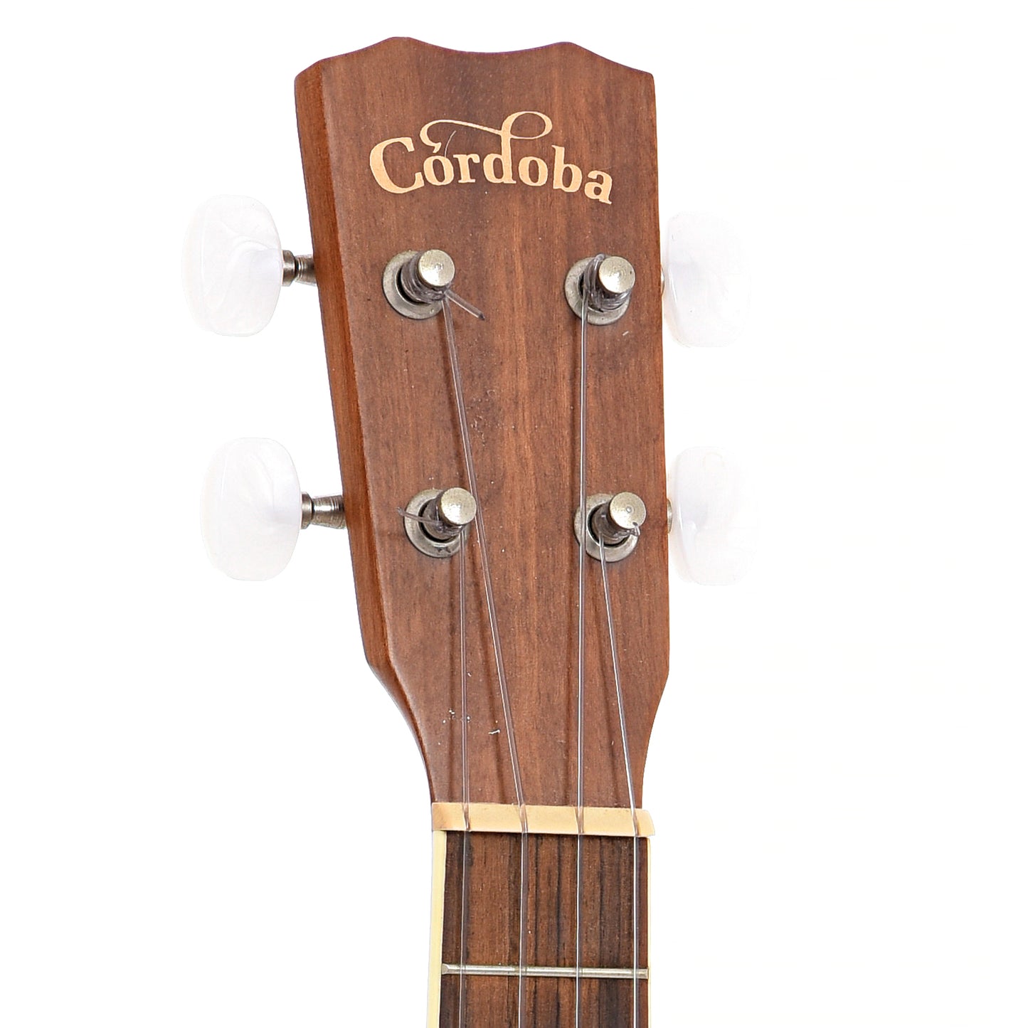 front headstock of Cordoba 15CM