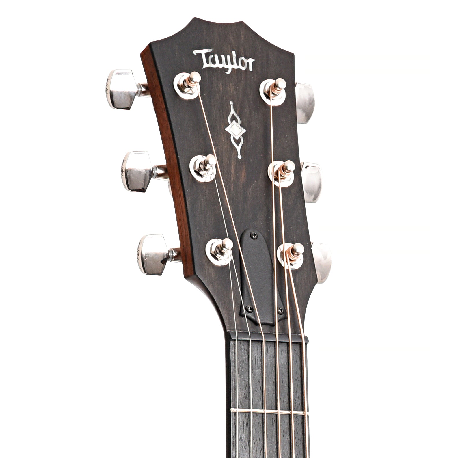 Taylor 314ce & Case, Left Handed – Elderly Instruments