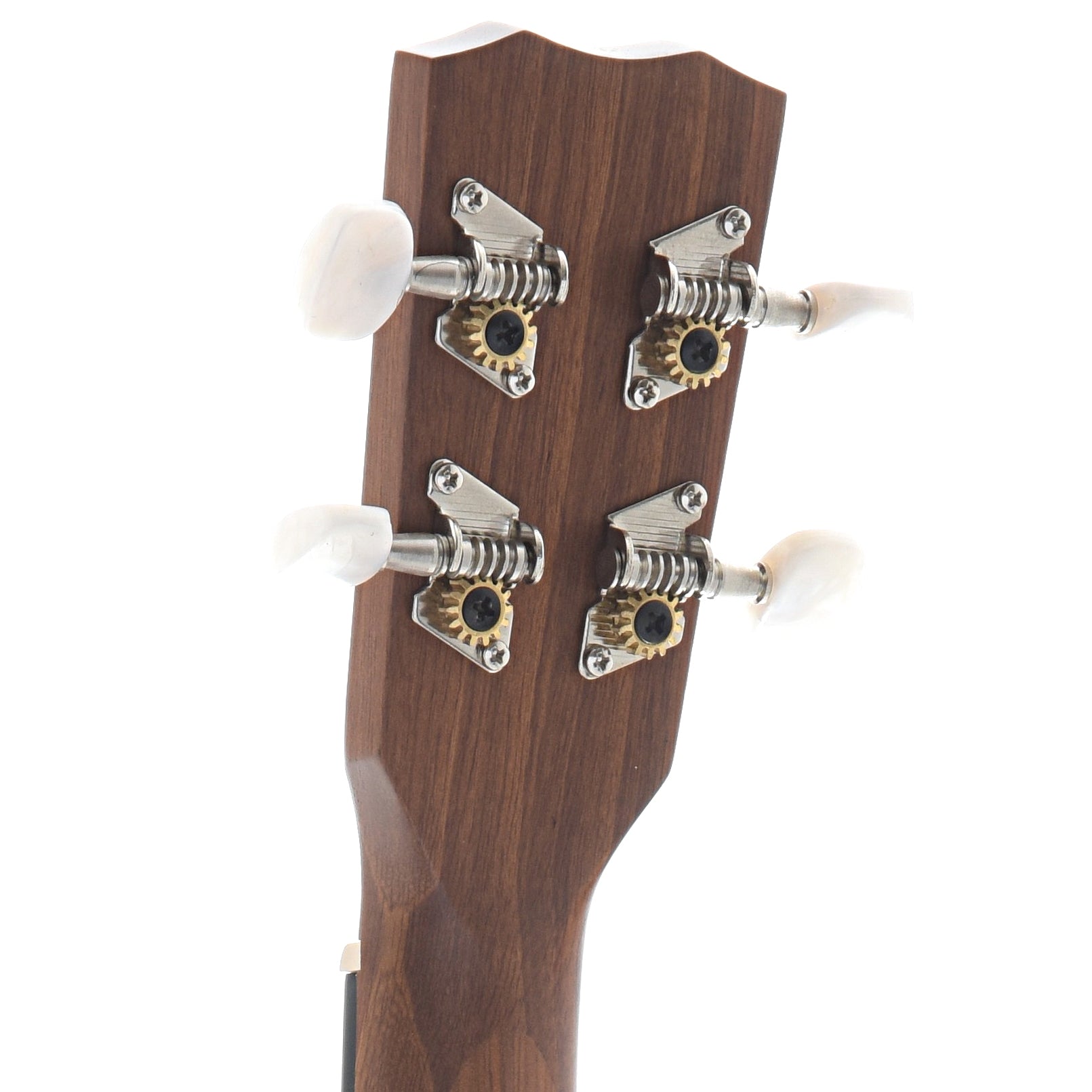 back h eadstock of Cordoba Concert Ukulele 