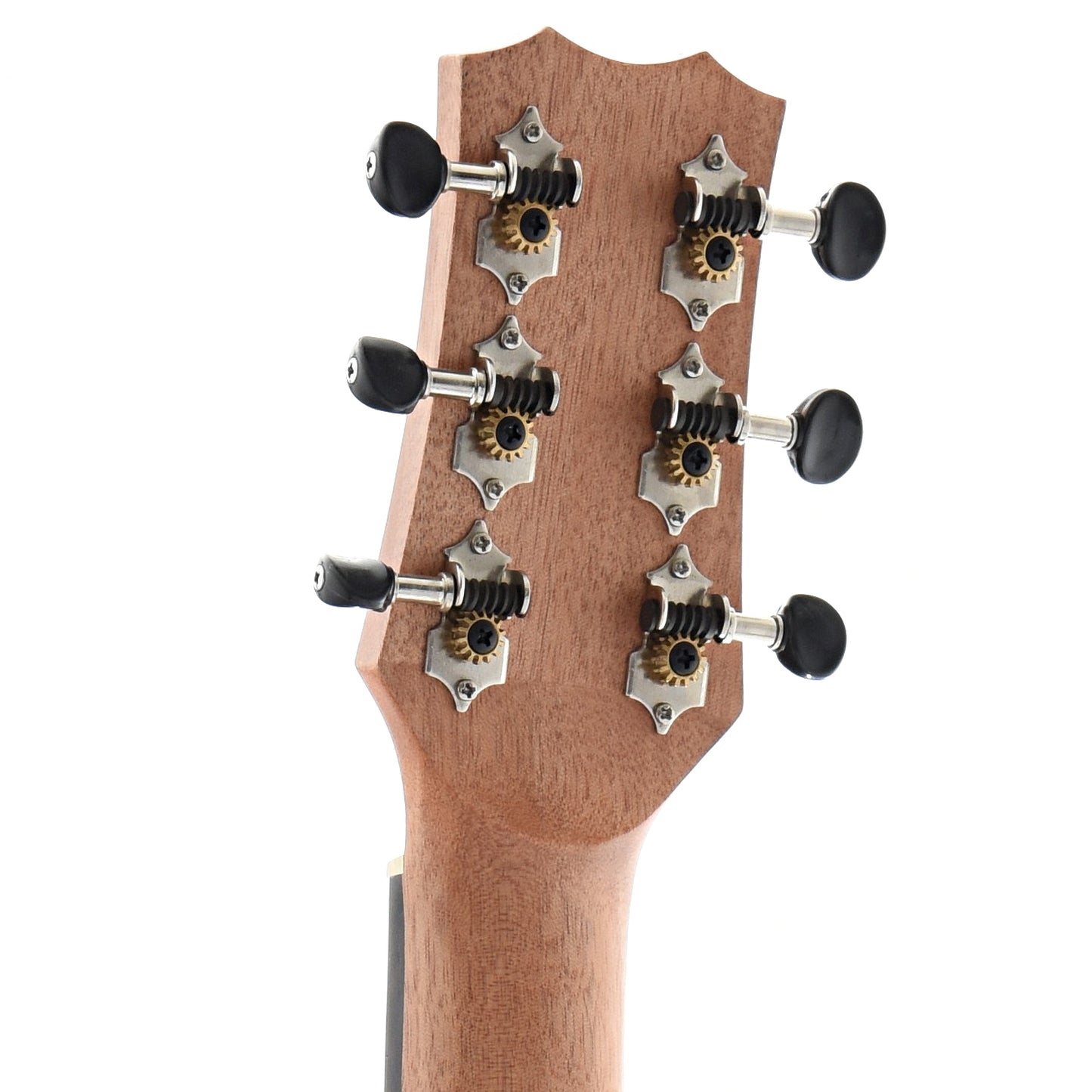 Back Headstock of Cordoba Mini II FMH Travel-Sized Guitar