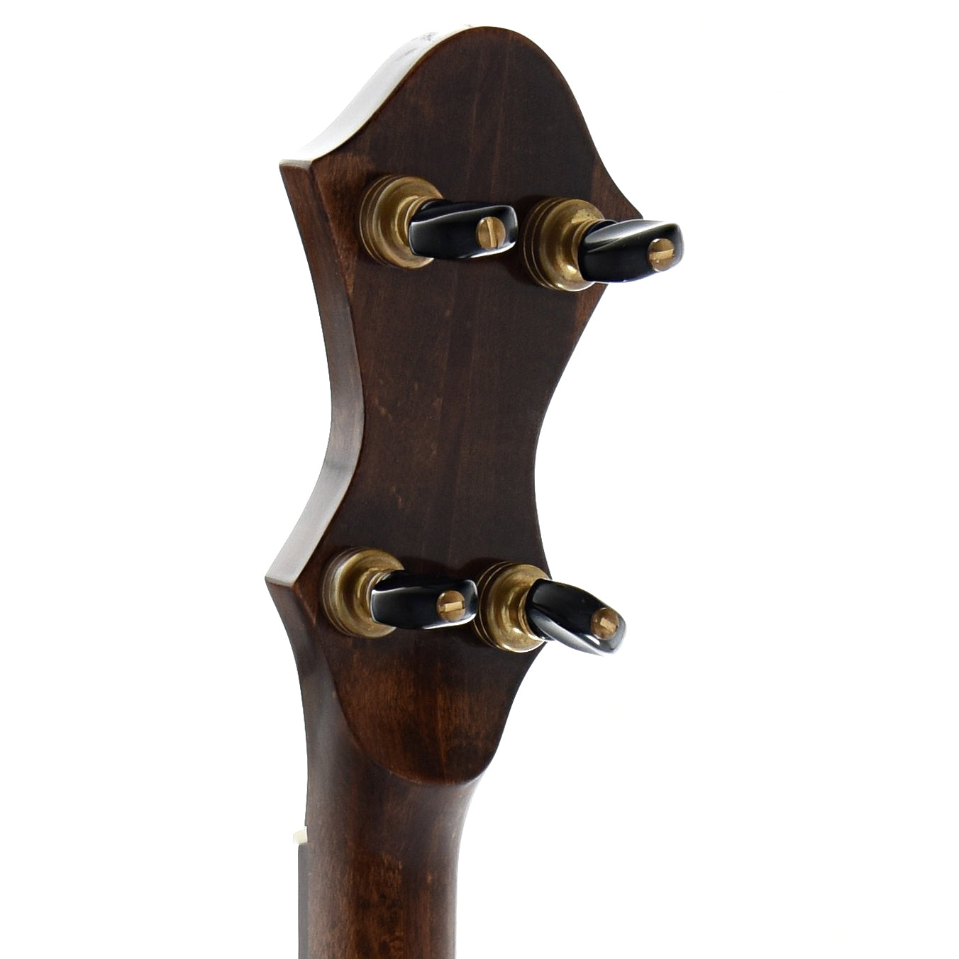 Pattison Mountain Loon 12 Openback Banjo Elderly Instruments
