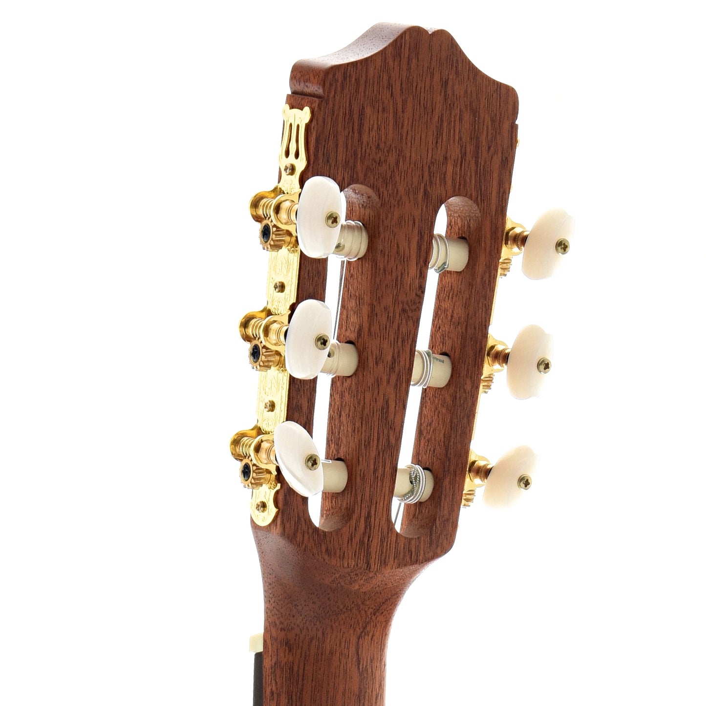 back headstock of Cordoba C1M 1/4 Size Nylon String 