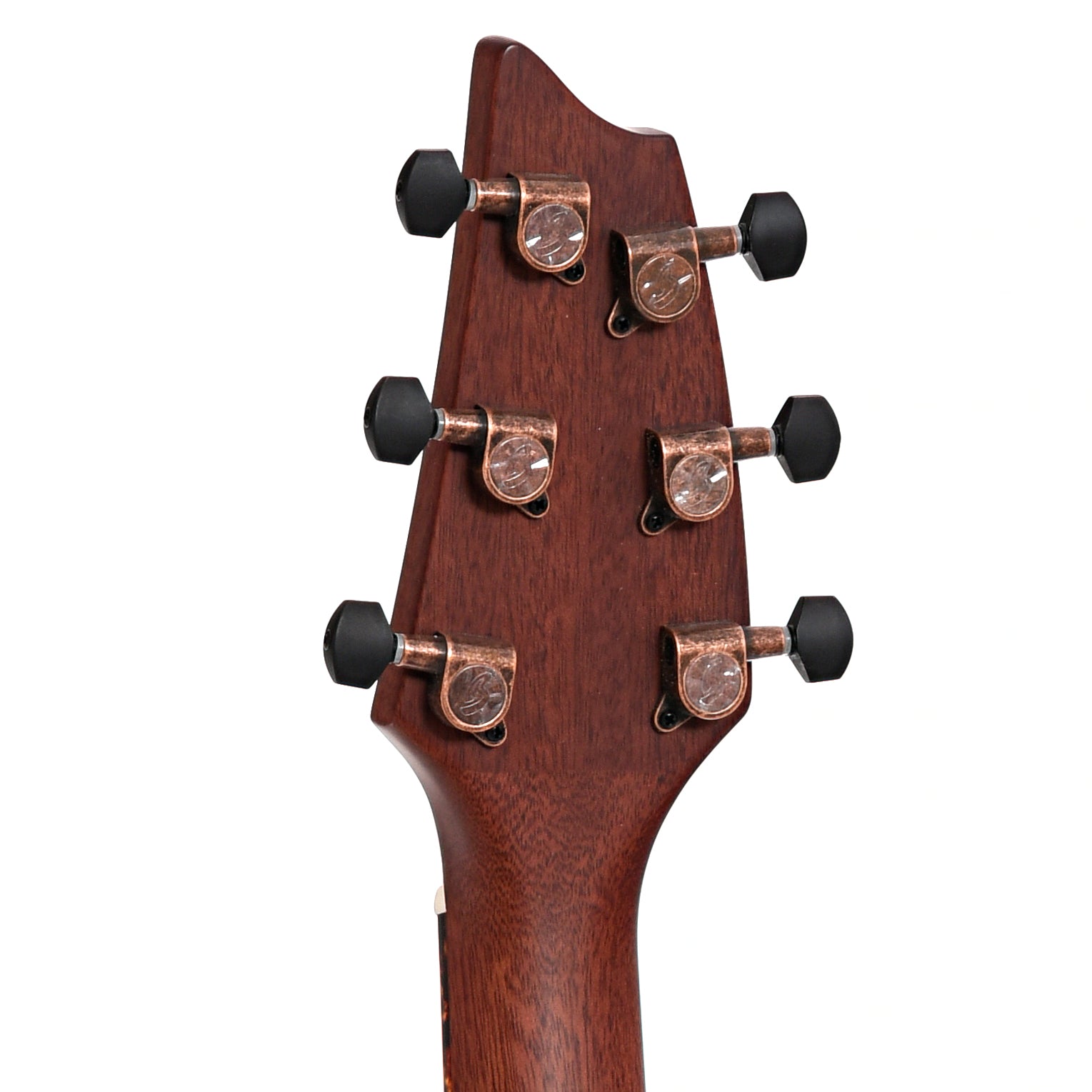 Back headstock of Breedlove Pursuit Exotic S Concert Earthsong CE Myrtlewood