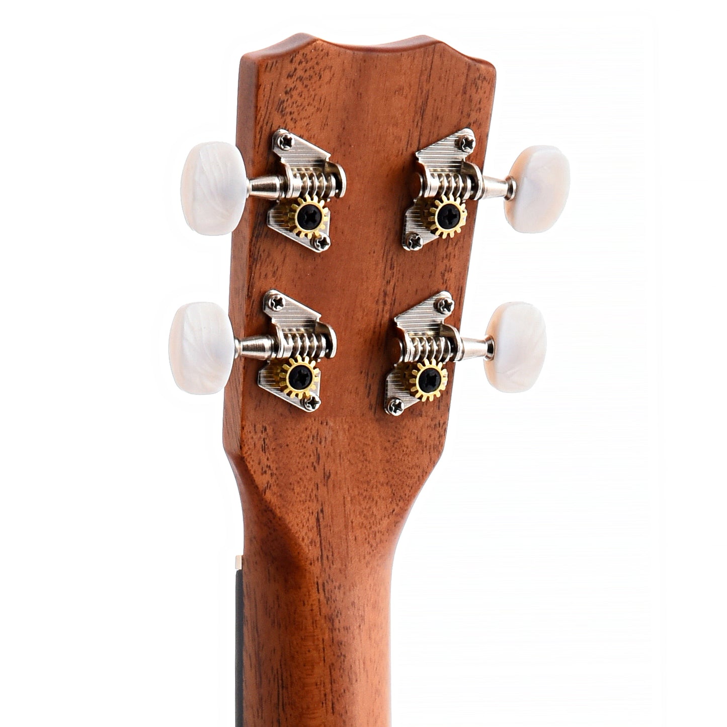 Back Headstock of Cordoba 20BM Baritone Ukulele, Mahogany