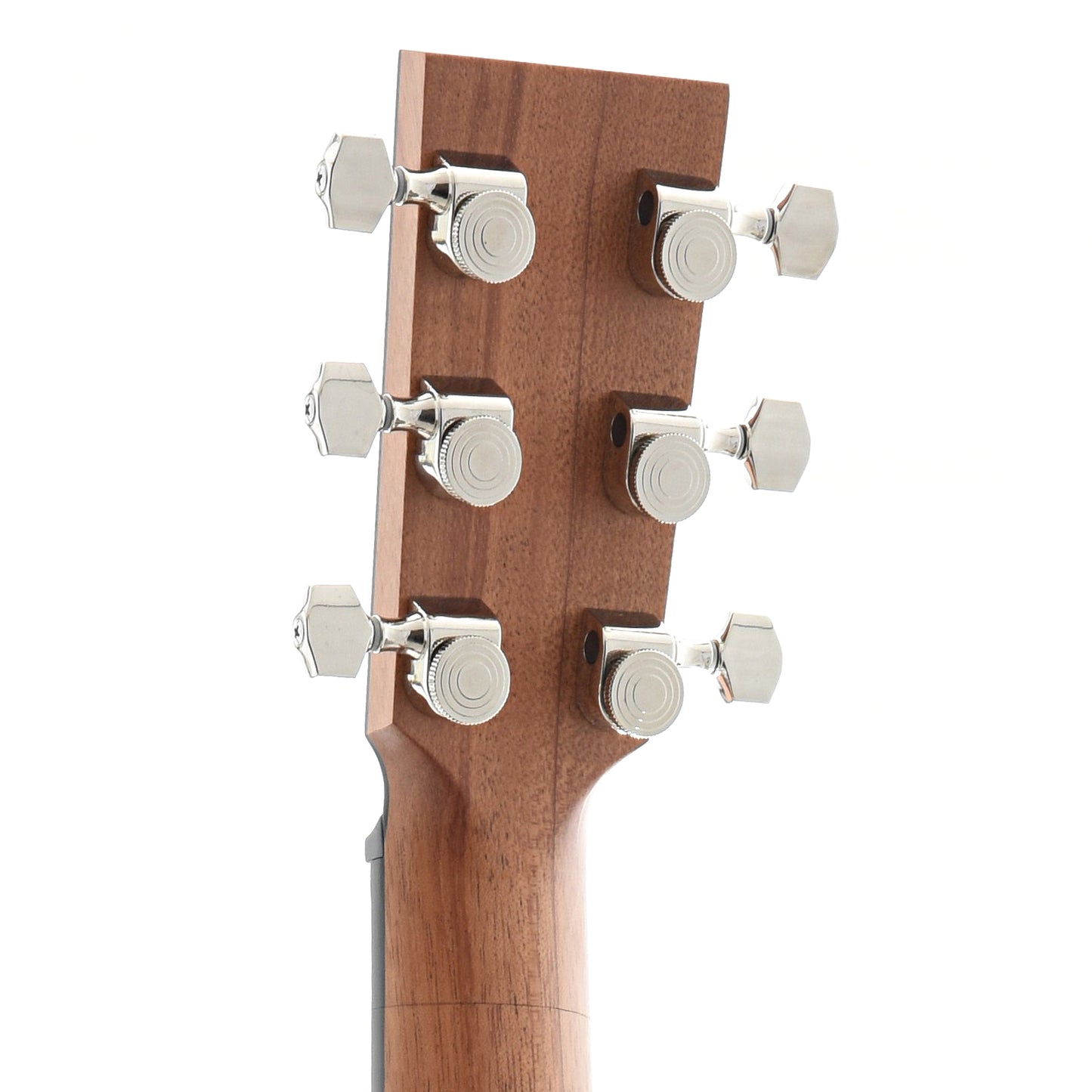 Back Headstock of Furch LJ10-CM Little Jane Travel Guitar