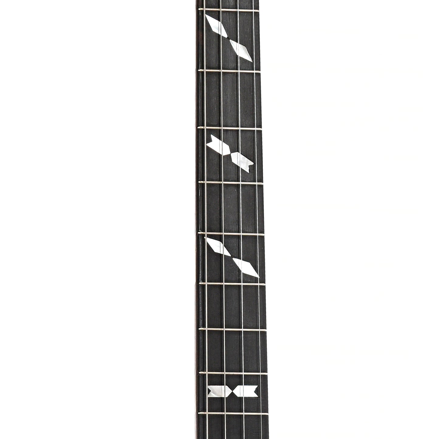 Fretboard of Van Eps Tenor Banjo