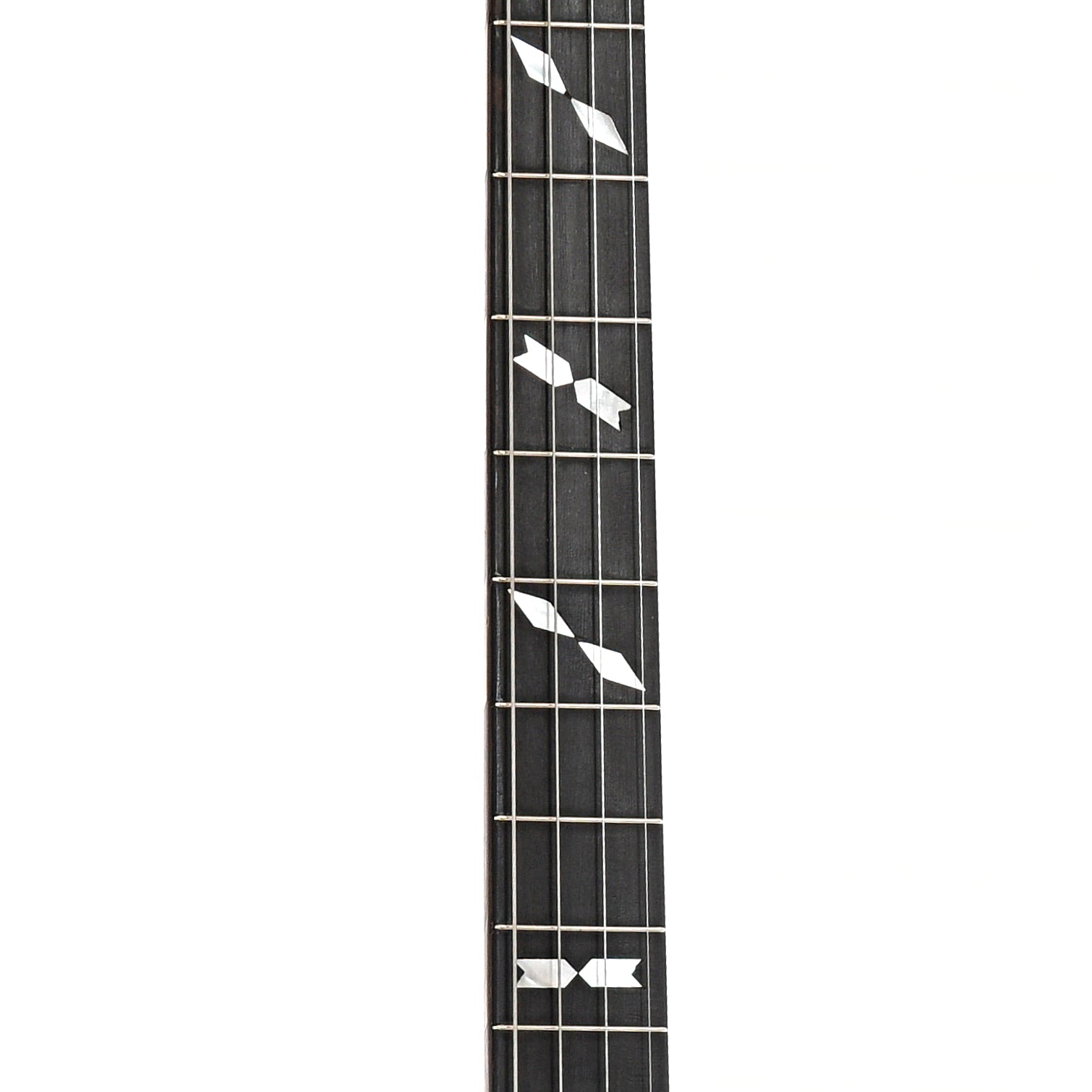 Fretboard of Van Eps Tenor Banjo