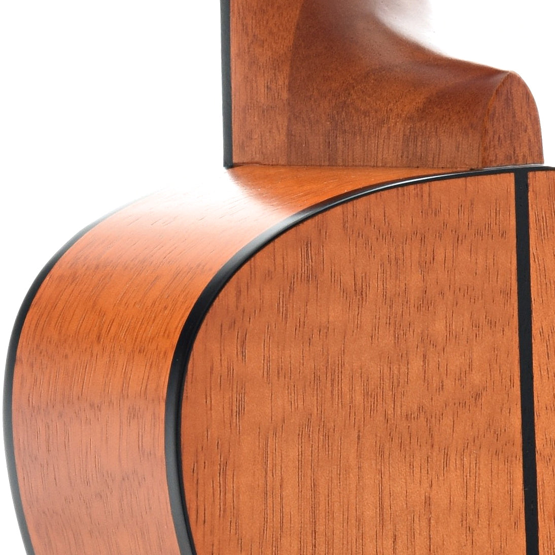 Image 9 of Kala Exotic Mahogany Series KA-CEM Concert Ukulele - SKU# KAEM-C : Product Type Concert Ukuleles : Elderly Instruments