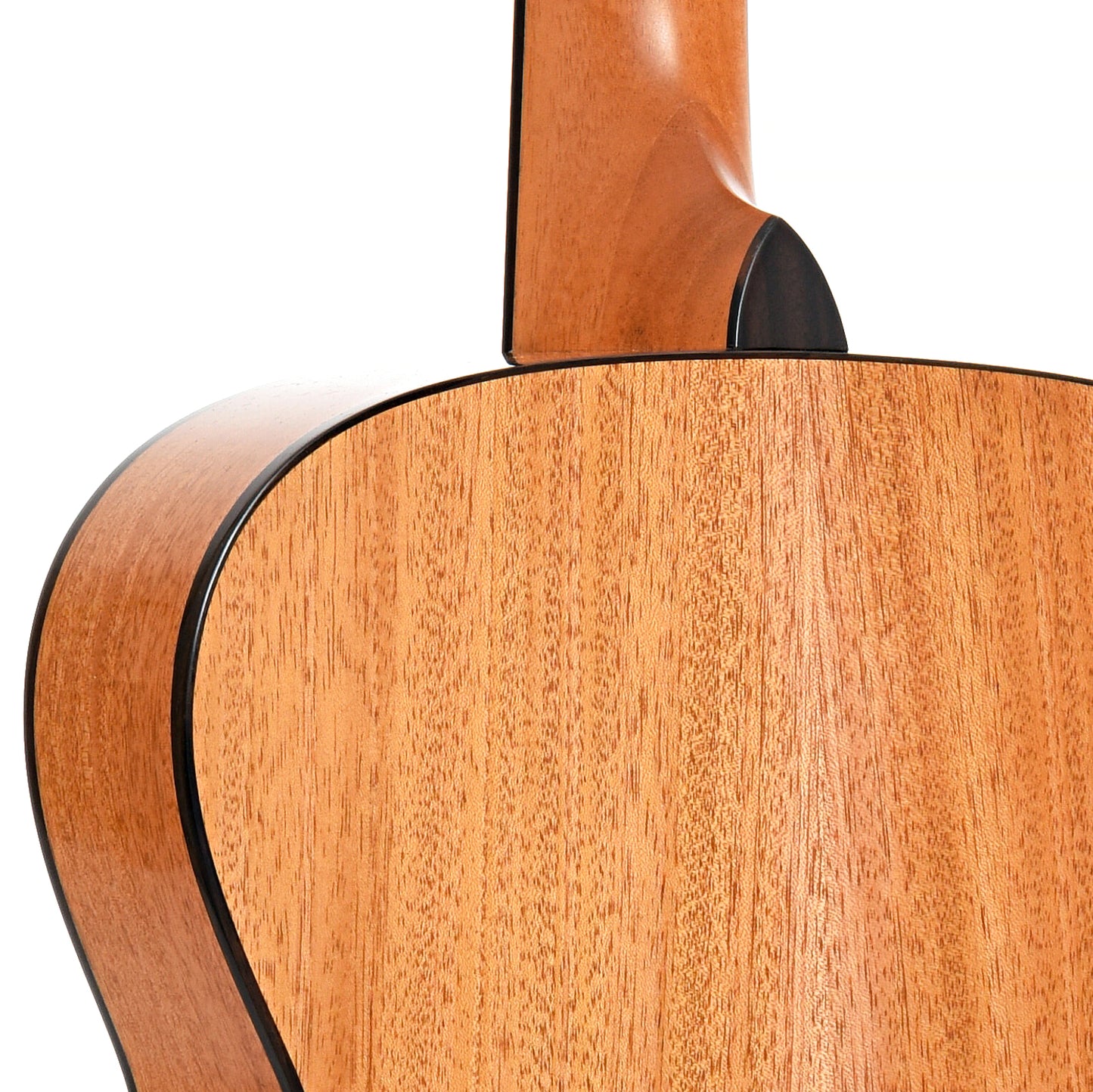 Image 9 of KR Strings Octolindo S Scholar Flat-top Octave Mandolin- SKU# OCTOS-SCH : Product Type Octave Mandolins & Bouzoukis : Elderly Instruments