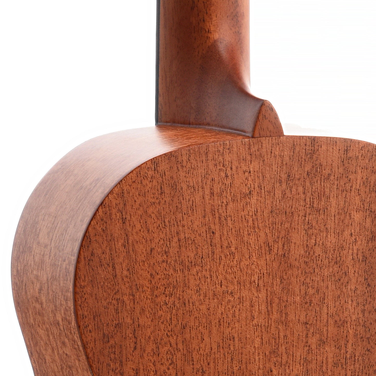 Neck Joint of Cordoba 20BM Baritone Ukulele, Mahogany