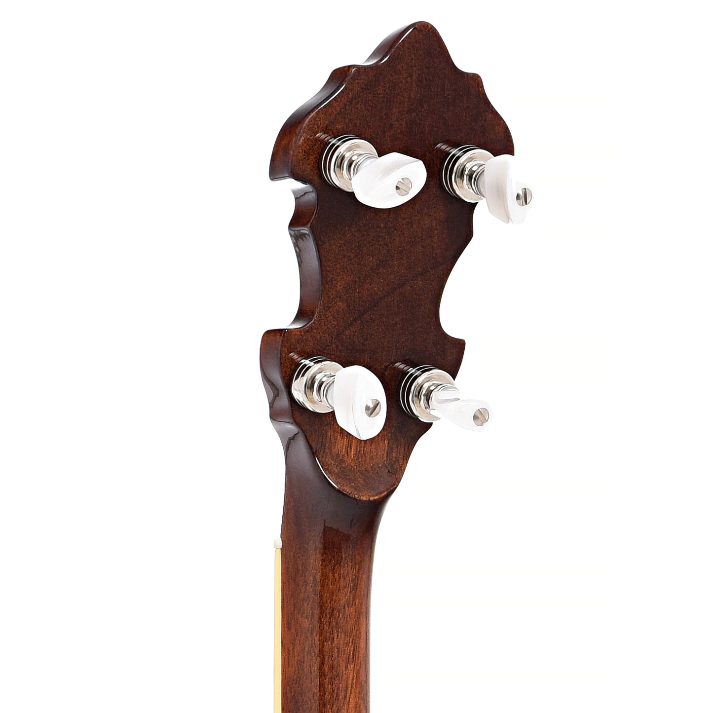 Back headstock of RECORDING KING ELITE 76 HEARTS & FLOWERS RESONATOR BANJO