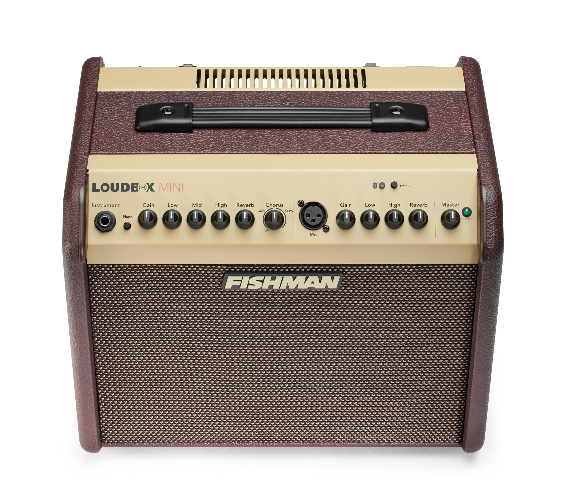 Fishman Loudbox Mini with Bluetooth Acoustic Amp – Elderly Instruments