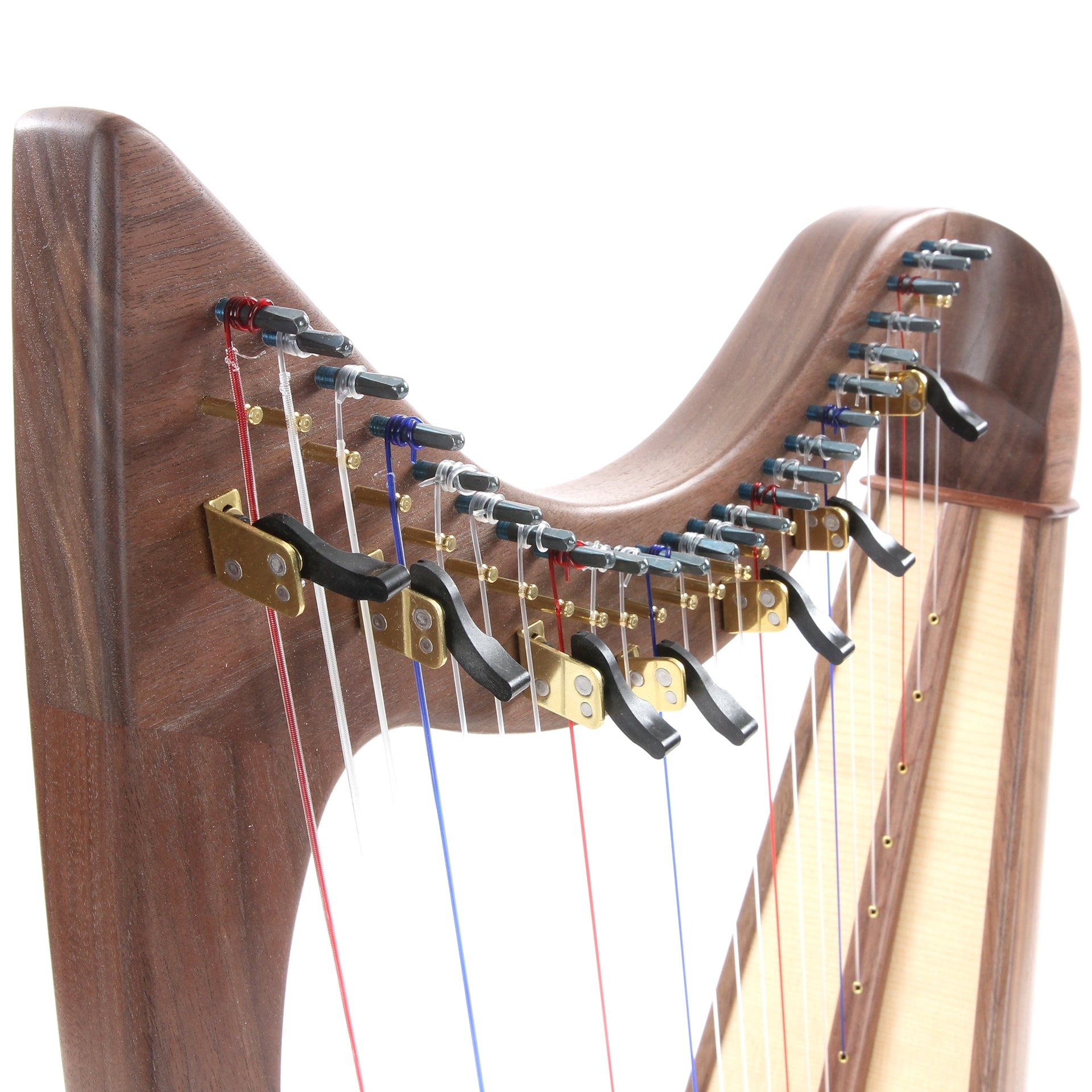 Noteworthy County Kerry 24-String Walnut Harp & Bag – Elderly