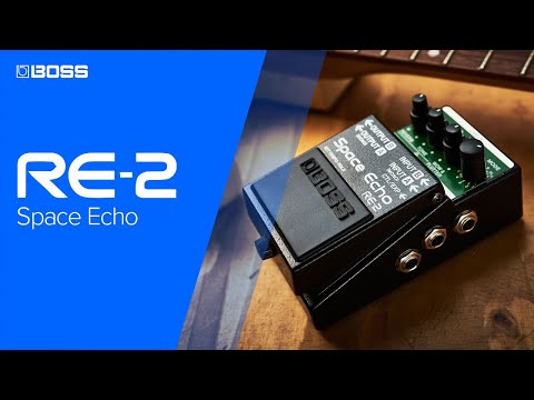 Boss RE-2 Space Echo – Elderly Instruments