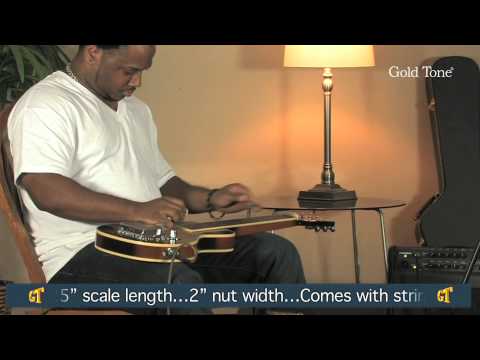 Gold Tone LS 6 Lap Steel Guitar 6 String Case Elderly Instruments