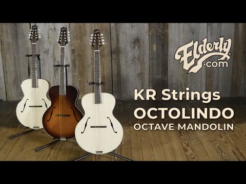 KR Strings Octolindo F Hole Artist – Fiddler's Green Music Shop