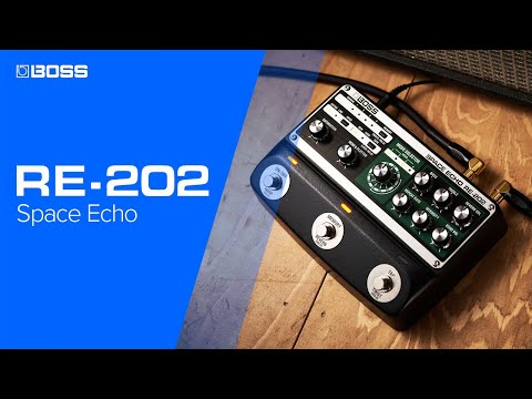 Boss RE-202 Space Echo – Elderly Instruments