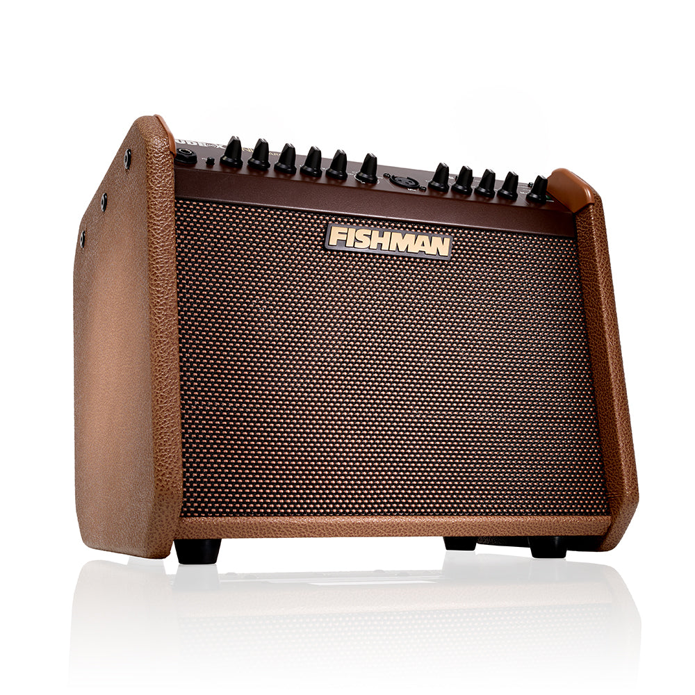 Fishman Loudbox Mini Charge Acoustic Amp – Elderly Instruments