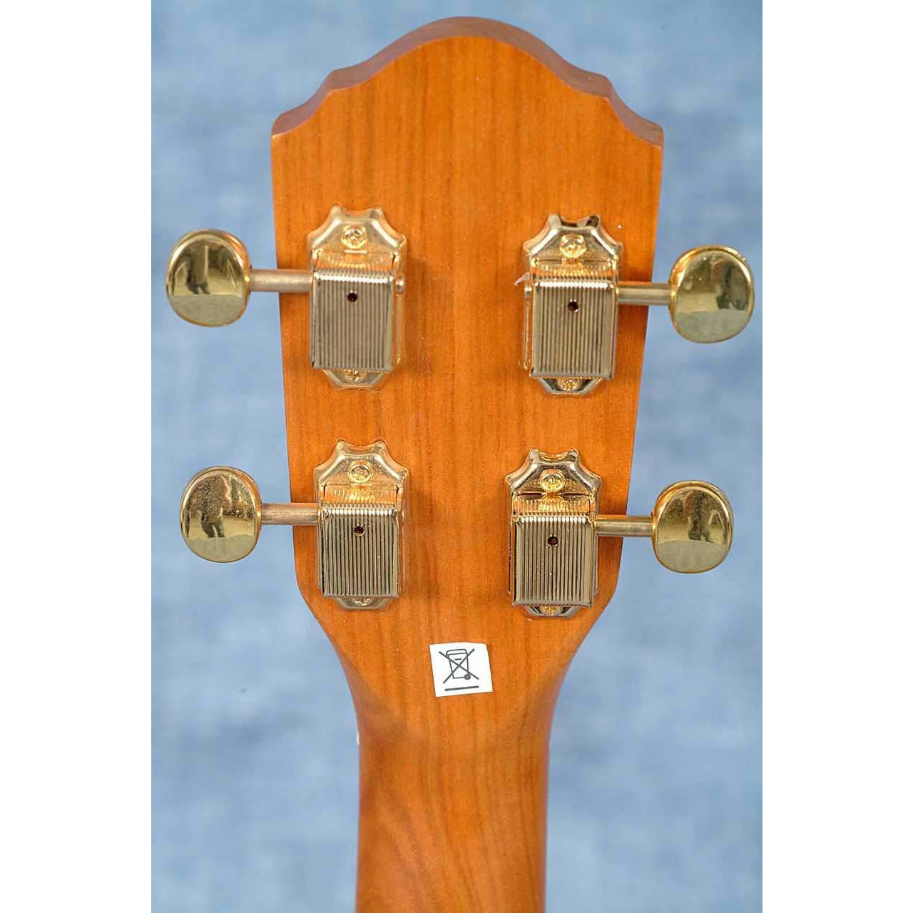 headstock-back